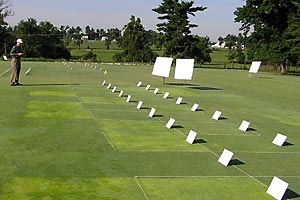 Turfgrass evaluation plots