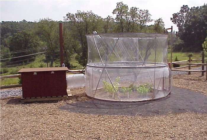 Open Top Chamber