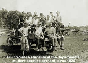 Fruit Science Students at the Departmental Student Practice Orchard, circa 1925