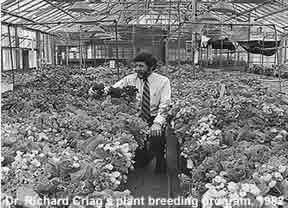 Richard Craig and the Plant Breeding Program, circa 1982