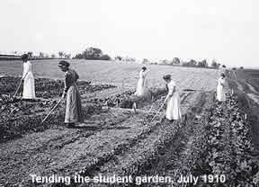 Tending the Student Garden, July 1910