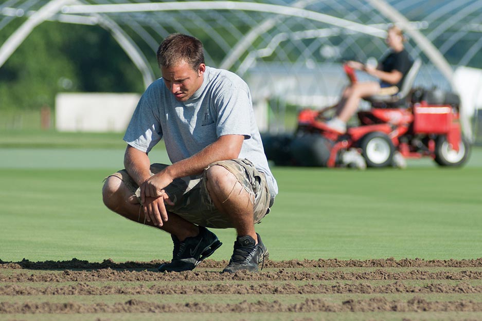 Master of Professional Studies in Turfgrass Management