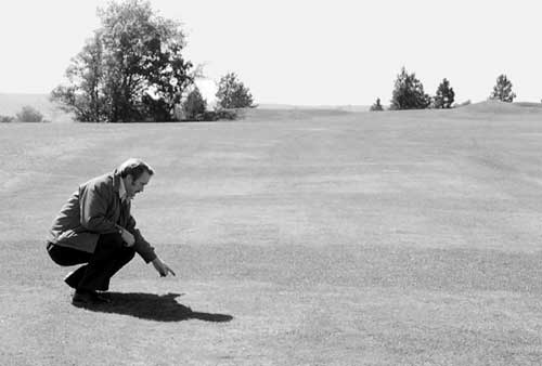 D. Waddington inspecting plots