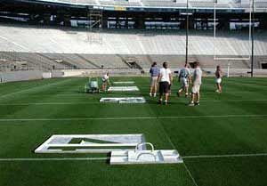 Football Field Sideline