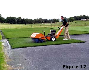 brooming in