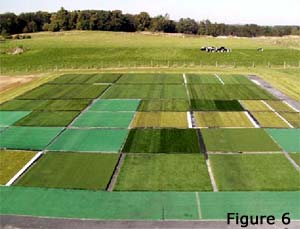 Infilled synthetic turf study