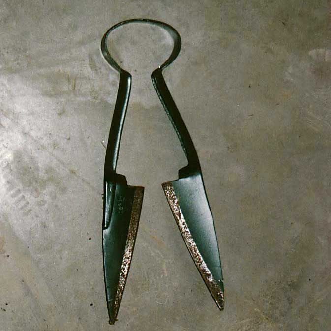 mi012.jpg