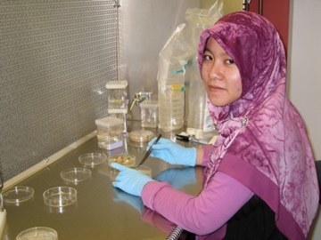 Siti Izzati Zulkafti