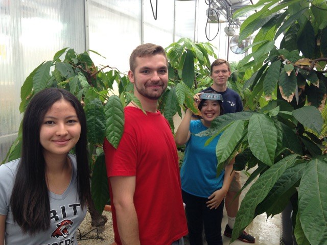 Visiting students from Brazil along with PSU undergraduates learning how to pollinate Cacao trees. 