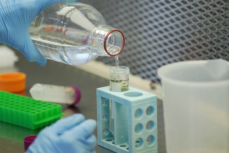 Adding Sterilization Solution