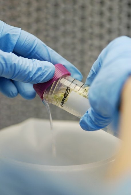 Decant Sterilization Solution