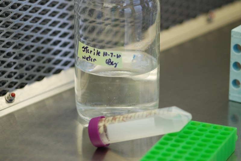 Rinse with Sterile Water