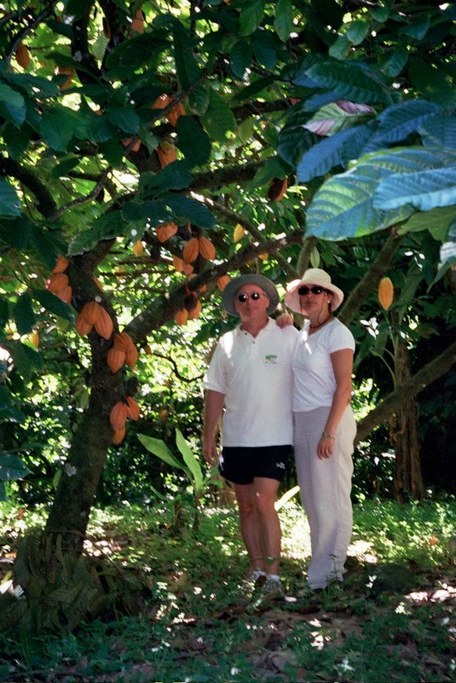 Mature SE Tree