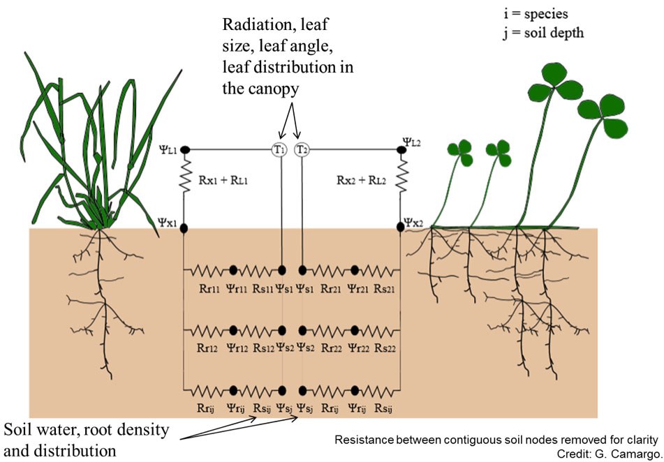 Mechanistic Modeling of Multispecies Pasture Growth and Management