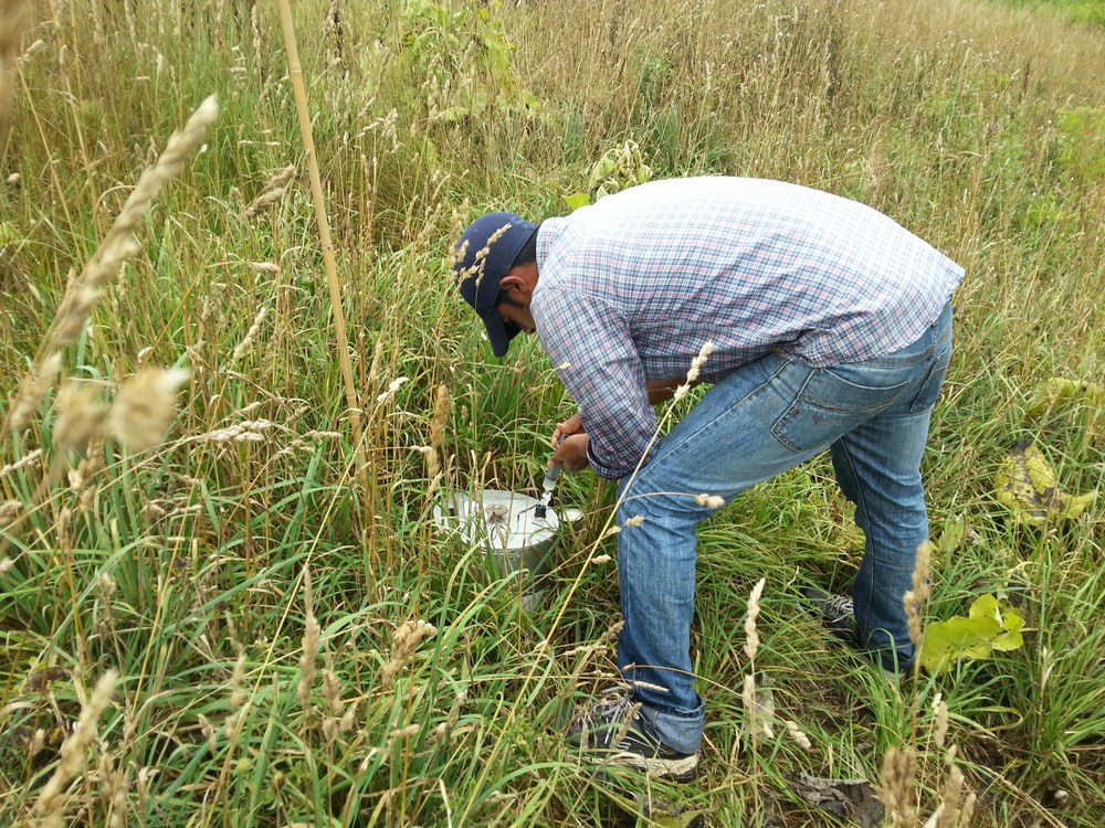 Debasish Saha sampling the head space of a chamber installed in CRP land. The change in nitrous oxide concentration is used to calculate the soil emission rate.