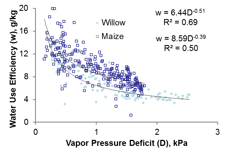 Water use efficiency of maize and shrub willow (calculated from Maria Laura Cangiano MS thesis data).