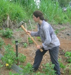 Driving Soil Core