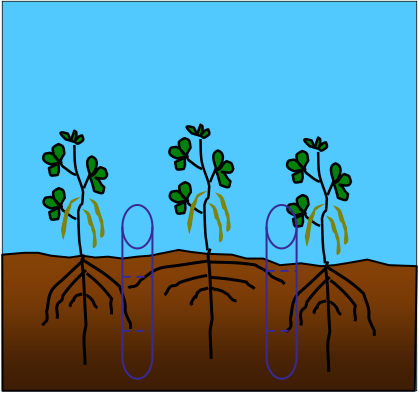 Soil Coring Theory