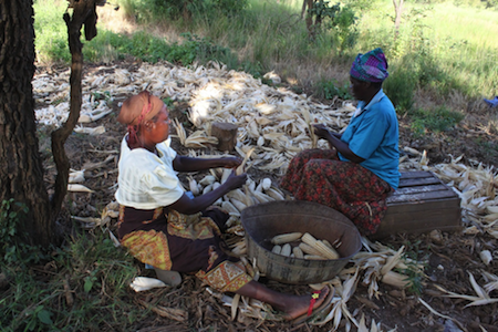 Bean recipe research in Mozambique