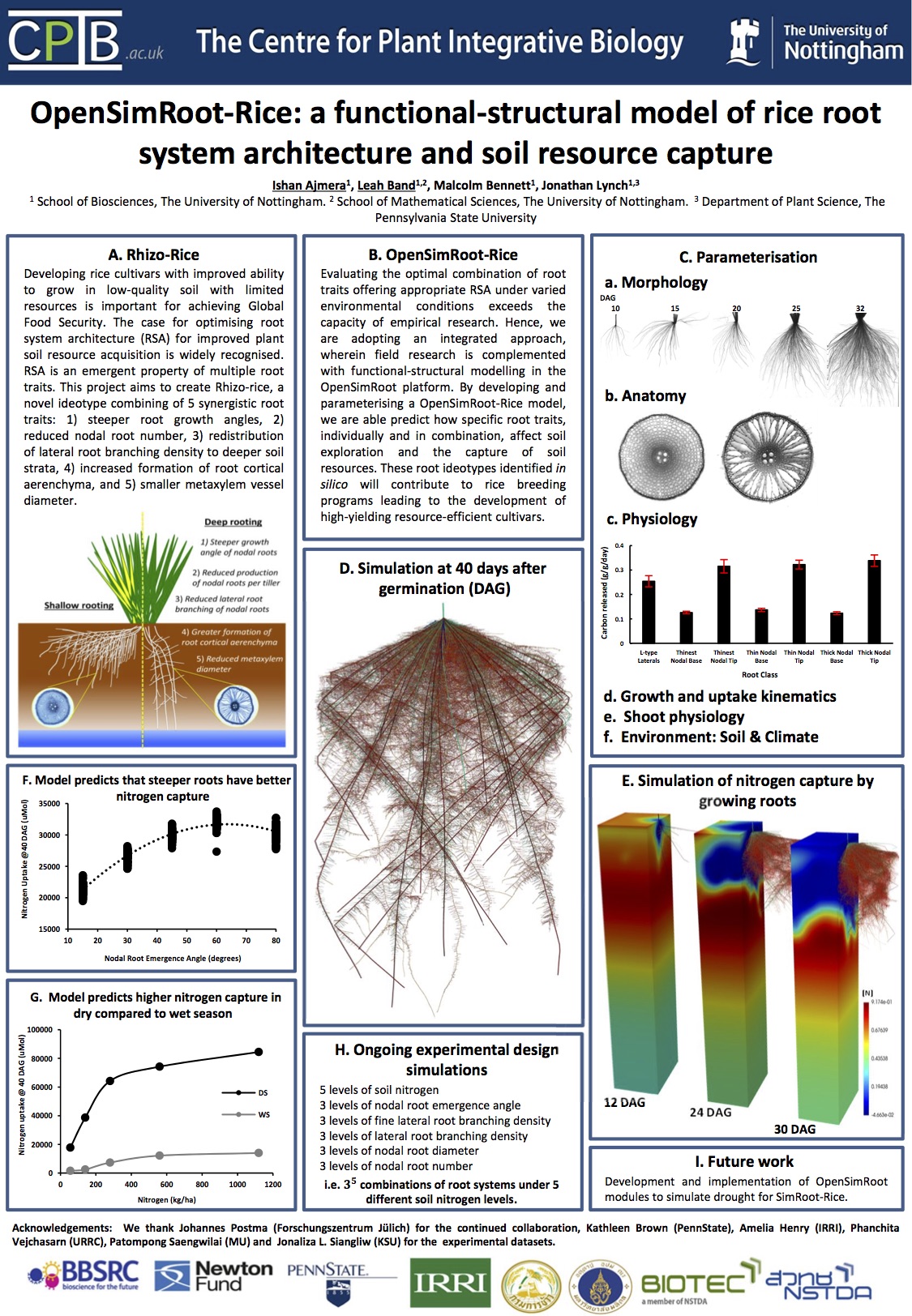 OpenSimRoot-Rice poster from Ishan