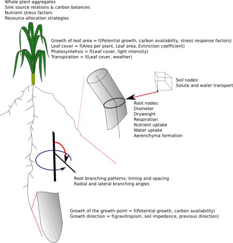 SimRoot overview