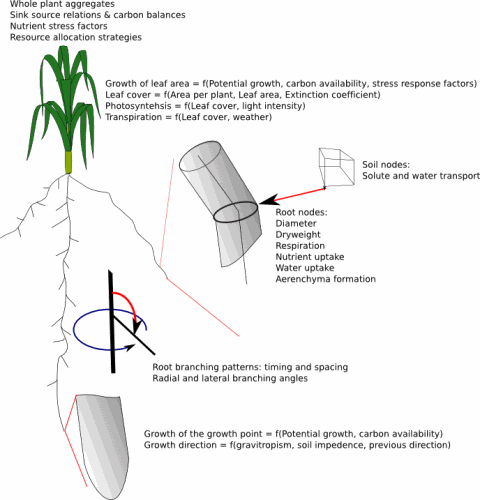 SimRoot overview
