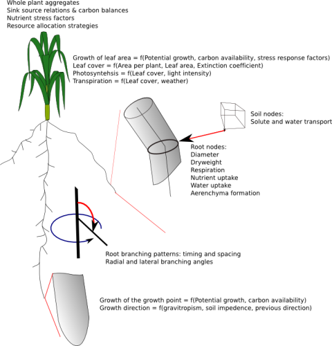SimRoot overview