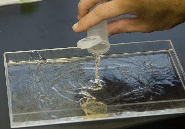 Pouring Roots