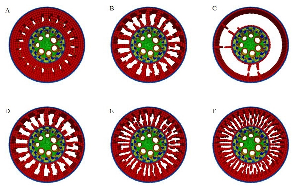 RootSlice Aerenchyma Variation