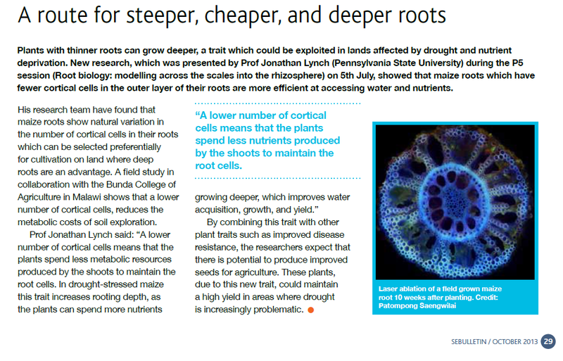 SEB Oct 2013 short article