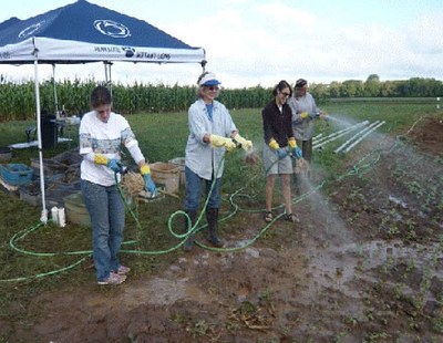 Hose washing root crowns