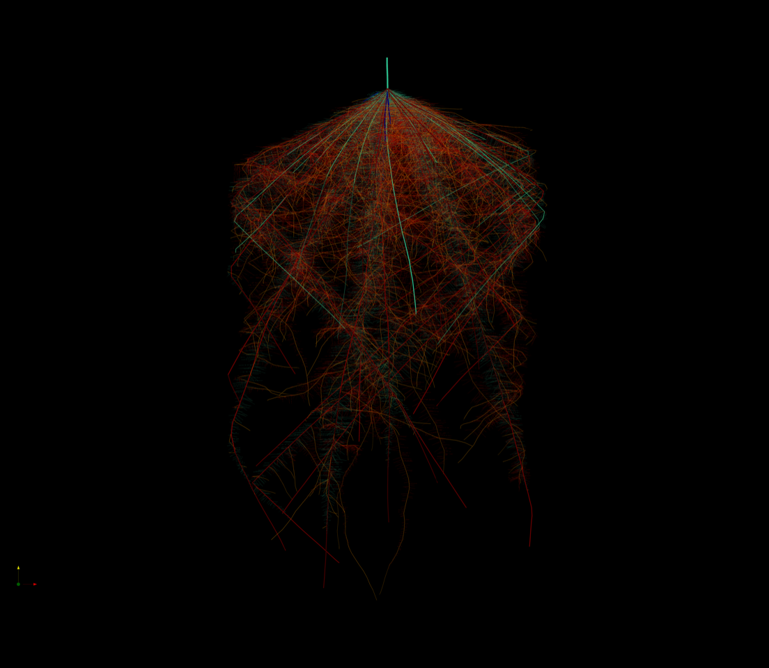 SimRoot rice root system