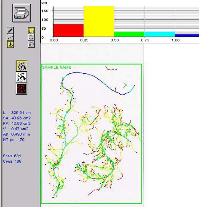 WinRhizo Analysis