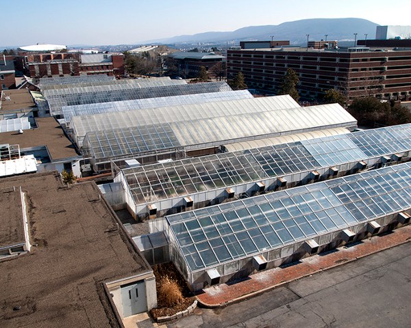 Tyson Greenhouses and Mt. Nittany