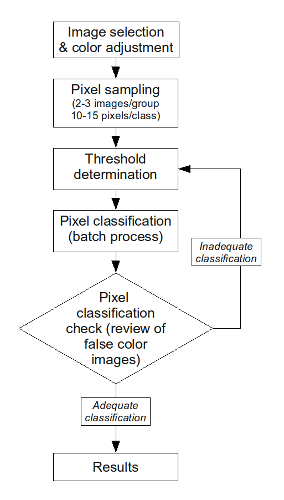 Image Analysis Workflow