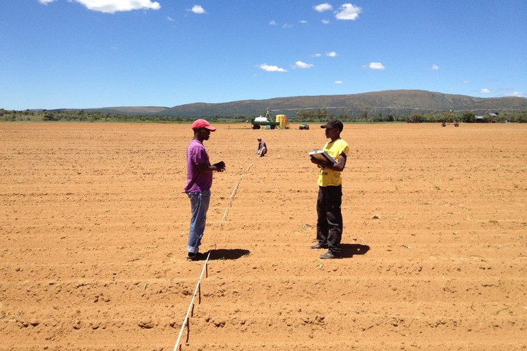 Interns (Tsitso, Dominik, and Rodney) laying out a field plot in South Africa