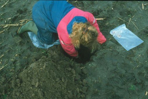 Resin Bag Incubation