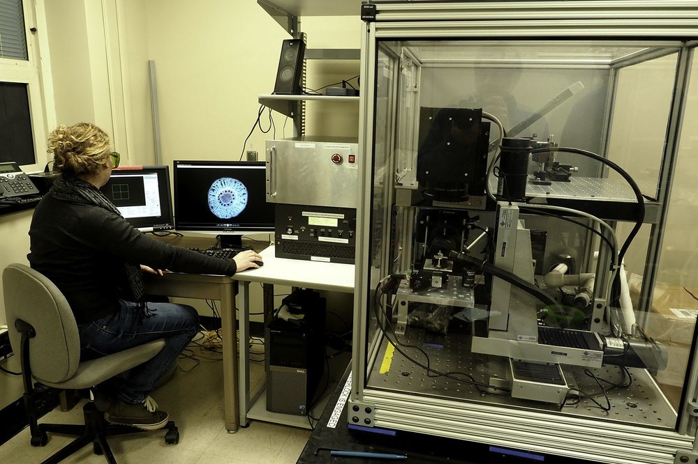 Images of root cross section are captured on remote-controlled camera while root sample is ablated by laser pulse