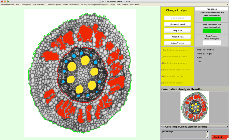 Image analysis of maize with RootScan