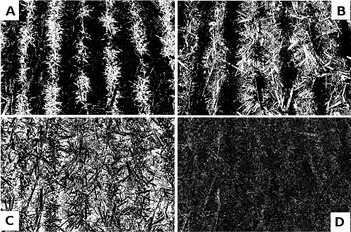 Four binary mask from the above image, showing: (A) Leaves, (B) Residue, (C) Bare Soil, and (D) Borderline (pixels with color values within 2% of a threshold).