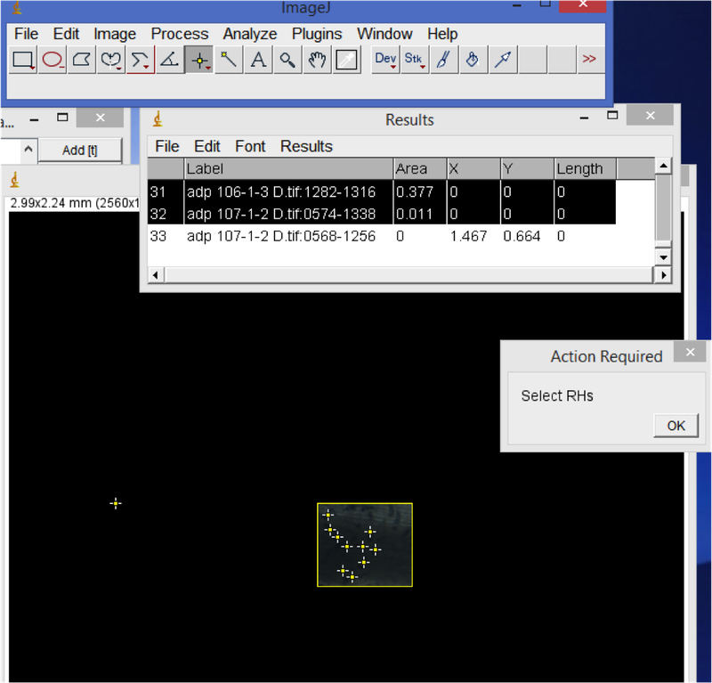 Count root hairs per mm2 in ImageJ