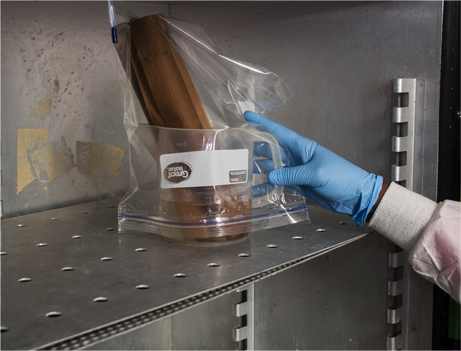 Place roll-up in germination chamber