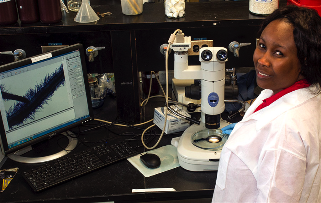 Prepare microscope for analysis
