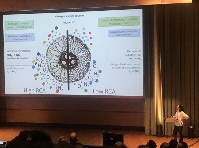 Tania Galindo-Castañeda presents work at Int'l Phytobiomes Conference