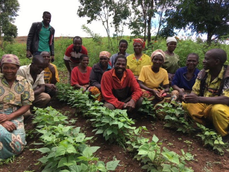 Farmers in Angonia, Mozambique with newly released bean varieties
