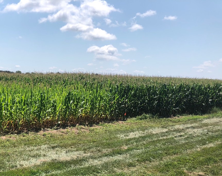 Hancock, WI