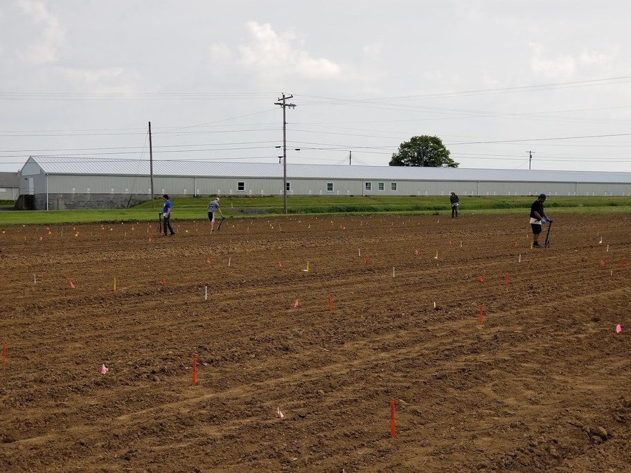 Students use jab planters to plant maize plots in the low nitrogen field this spring.