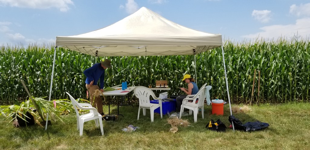 Hancock, WI