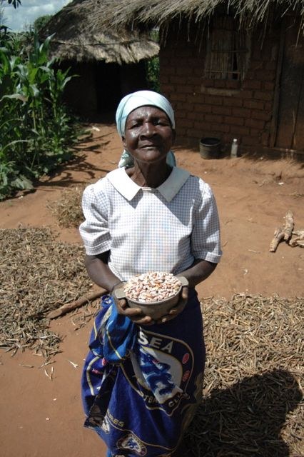 Collaborating bean farmer in Angonia, Mozambique