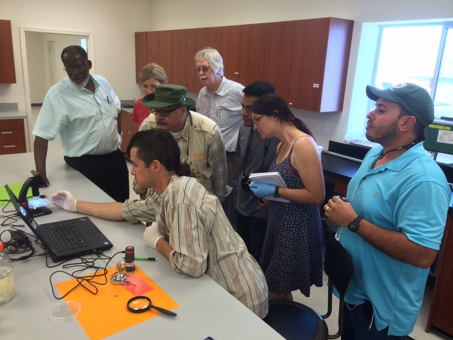 Jimmy Burridge demonstrates root hair imaging using microscope. Participants (from left to right): Ousmane Boukar, Jennifer Trapp, Hesham Agrama, Jeff White, José Polanía, Jana Kholova, Abiezer Gonzalez.